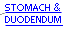 Stomach & Duodendum